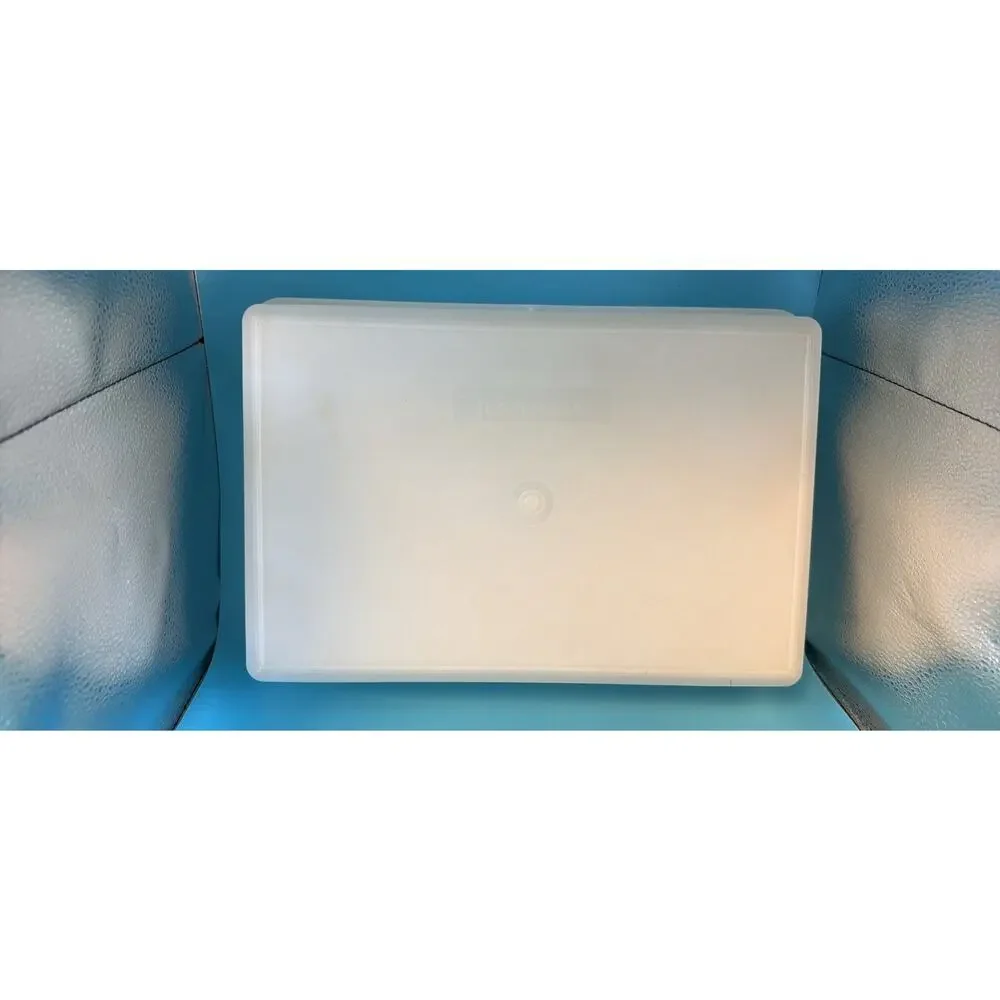 Tupperware 4-Piece Rectangular Plastic Containers Snap Lids White/Blue